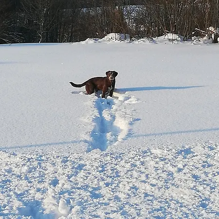Lägenhet Atempause Und Erholsame Zeit Im Harz *