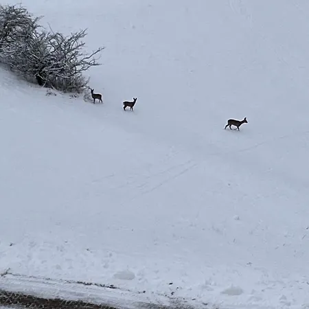 Διαμέρισμα Atempause Und Erholsame Zeit Im Harz *