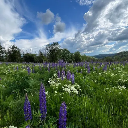 Atempause Und Erholsame Zeit Im Harz Braunlage