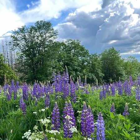 Atempause Und Erholsame Zeit Im Harz *
