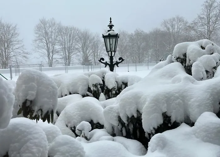 Atempause Und Erholsame Zeit Im Harz *
