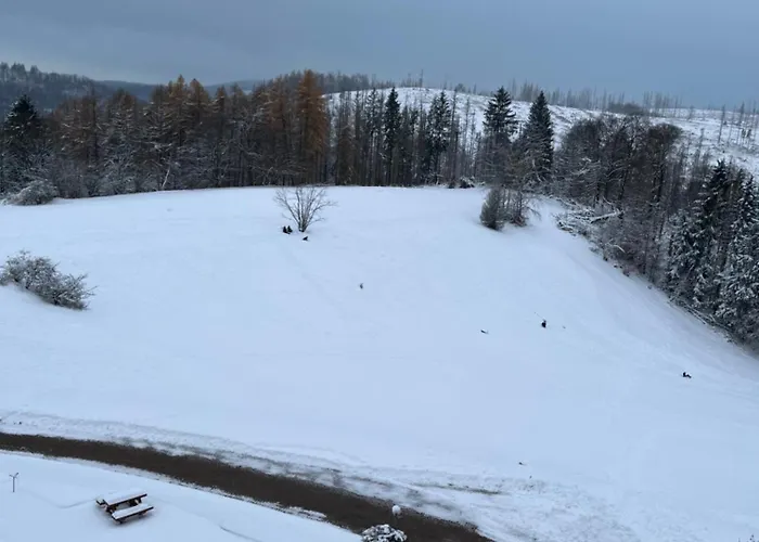 Atempause Und Erholsame Zeit Im Harz アパート ブラウンラーゲ