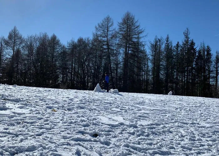 Apartman Atempause Und Erholsame Zeit Im Harz Braunlage