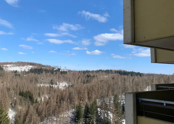 Atempause Und Erholsame Zeit Im Harz Apartman