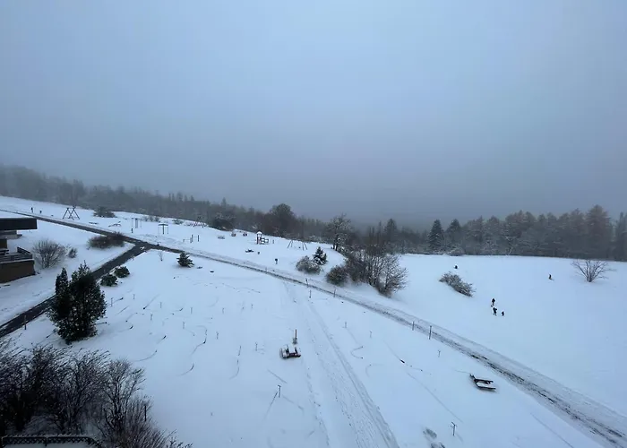 Atempause Und Erholsame Zeit Im Harz Apartman