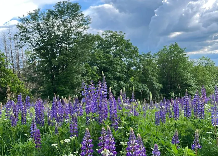 Atempause Und Erholsame Zeit Im Harz *